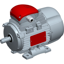 קטלוג מוצרי Motive