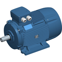 קטלוג מוצרי Motive