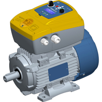 קטלוג מוצרי Motive