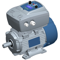 קטלוג מוצרי Motive